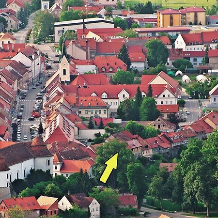 Apartment Gasa Брежіце Екстер'єр фото